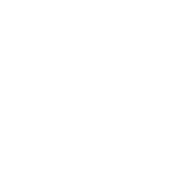 Boosted