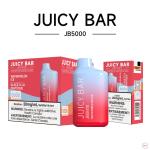 [FD] JB5000 WATERMELON ICE - 5ct