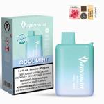 [FD] VAPEMAN B6000 COOL MINT - 5ct
