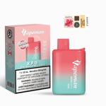 [FD] VAPEMAN B6000 KPG - 5ct